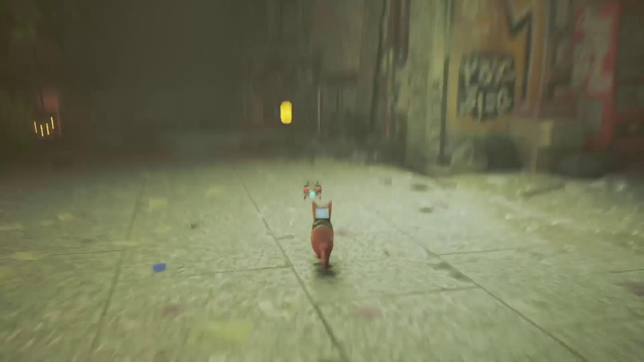 Playing stray