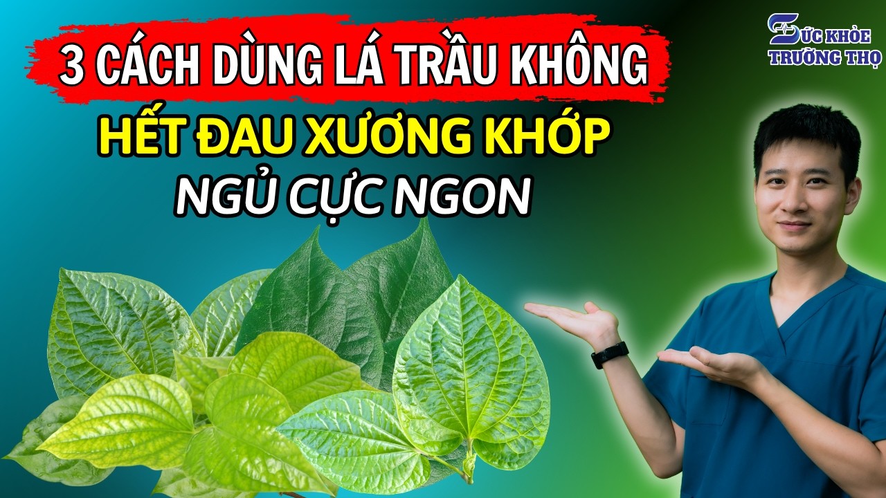 3 Cách Dùng Lá Trầu Không Giảm Đau Xương Khớp Tại Nhà (Cực Hiệu Quả)