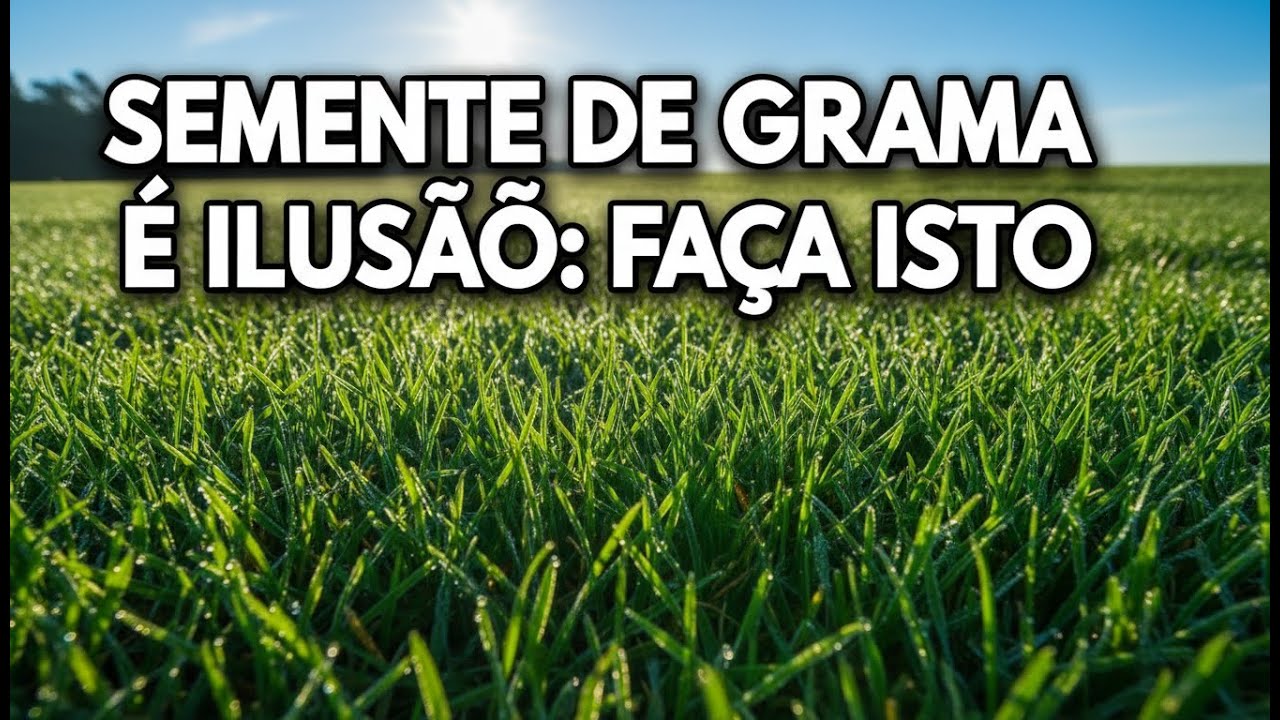 Plantar Grama por Sementes no Brasil: Por que Quase Sempre Dá Errado (e o que Fazer no Lugar)