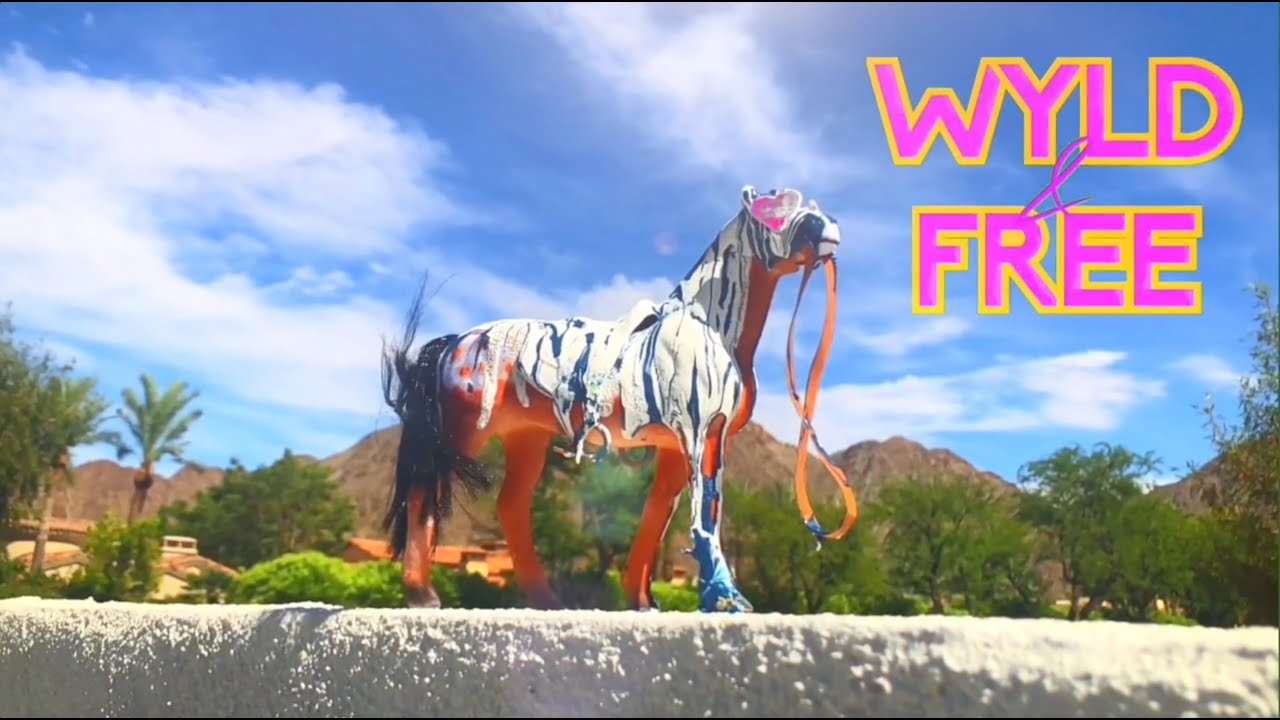 Done It Like This - Wyld & Free