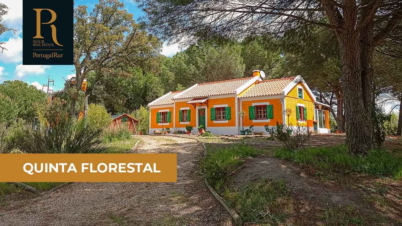 Quinta florestal com 5,2ha e Moradia T3 em Benavente | REF. 556