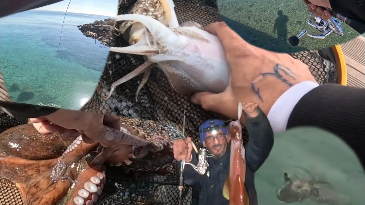 ¡PESQUERONES A EGING POR EL  DIA Y POR LA NOCHE!SEPIAS EN REPRODUCCION,SALEN DE DOS EN DOS(Y PULPOS)