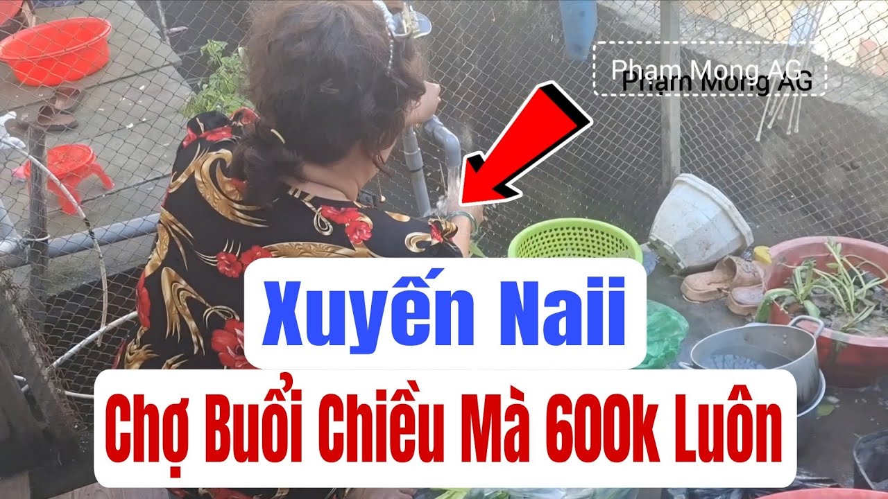 Xuyến Naii đi chợ quê không mà 600k đại gia đình ơi #phạmmongag #xuyennaii 