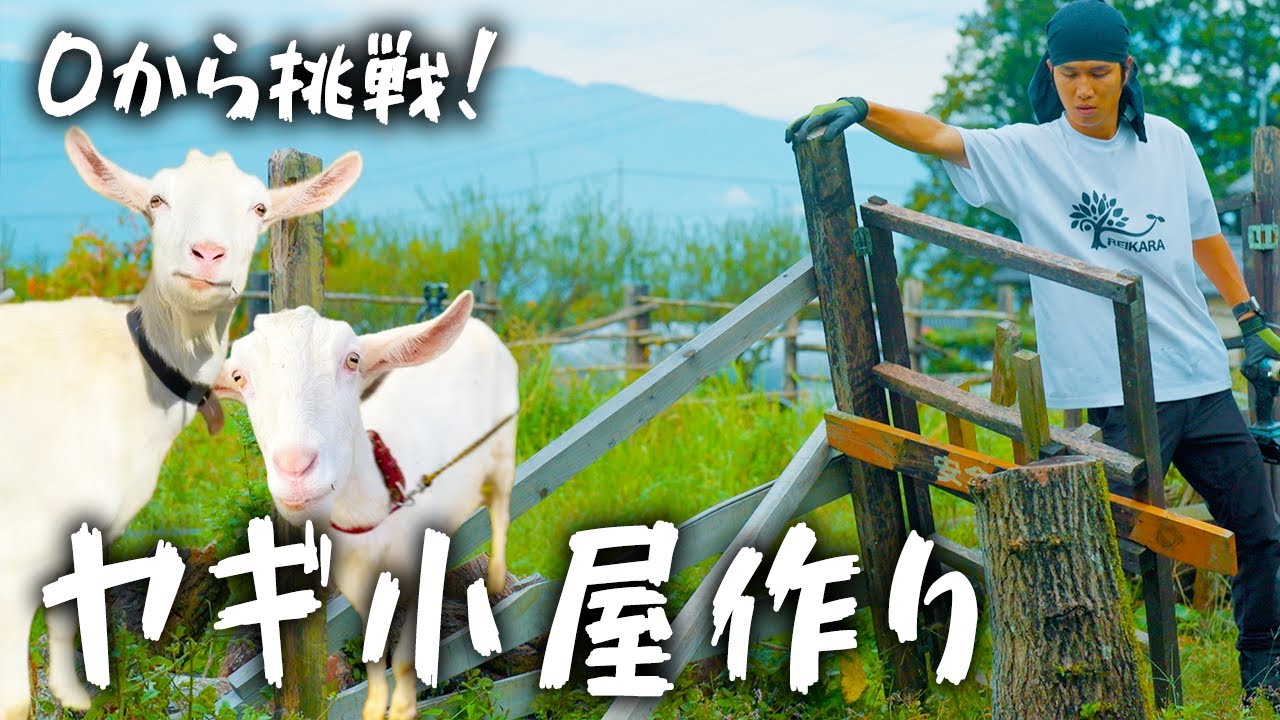 荒れた放牧場を大改造!