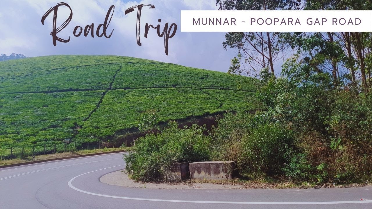 Munnar Poopara Gap Road - A Trip to the Land of Tea Gardens | 4K UHD | Alpha Safari