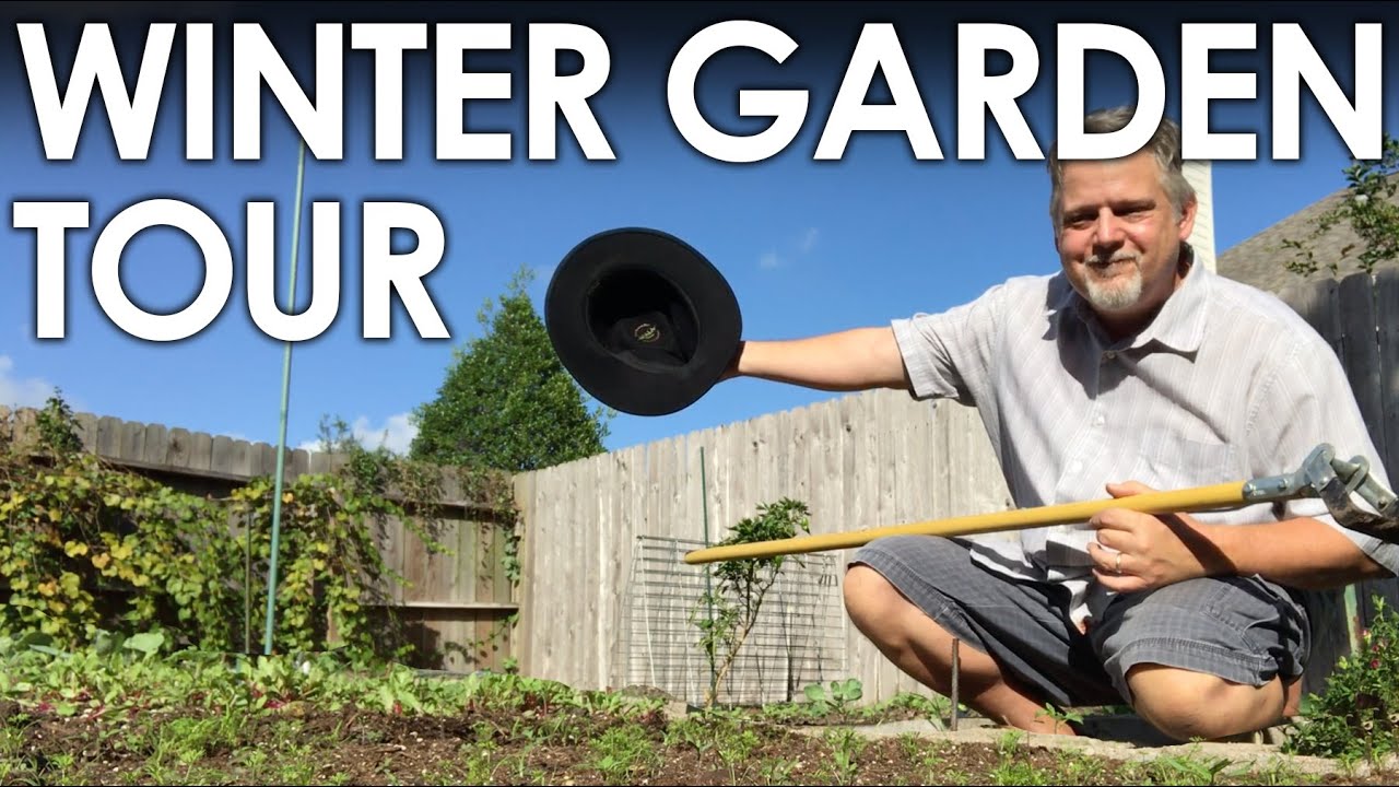 Winter Garden Tour Zone 9a Texas || Black Gumbo