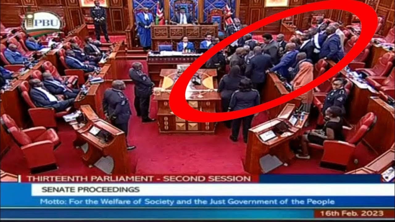 LIVE : FIREWORKS IN SENATE AS SENATORS CLASH OVER ALBERT OJWANG`S DEATH IN POLICE CUSTODY!!