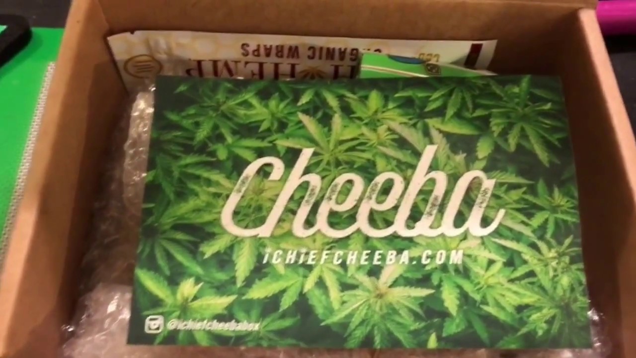 iChief Cheeba Box