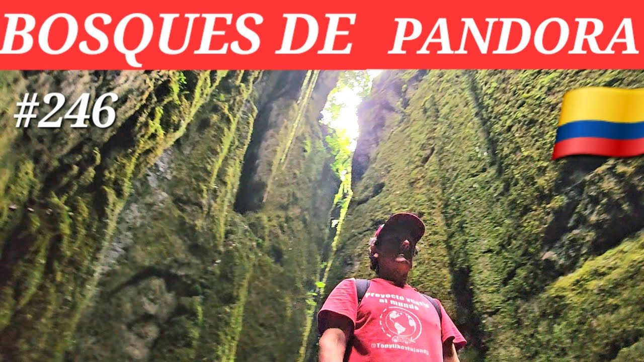 🚴🏻‍♀️ BOSQUES DE PANDORA, 🇨🇴 SANTANDER COLOMBIA, , CUEVA DE ORO . #vueltaalmundo