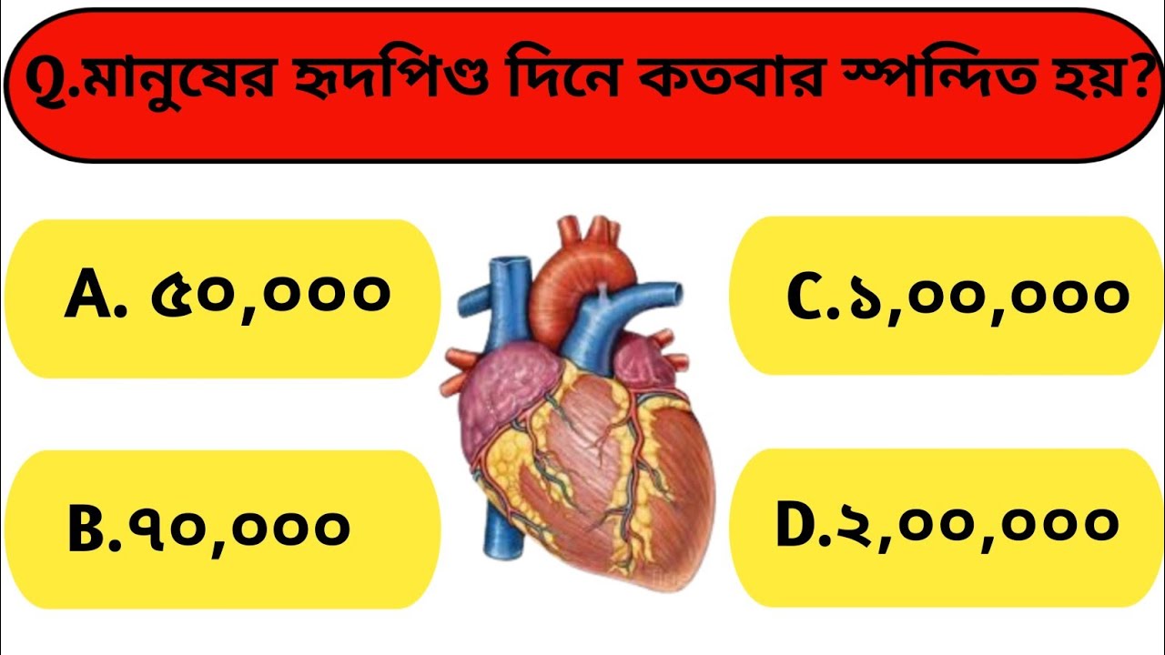 ৯৯% মানুষী জানে না | মানুষের হৃদপিন্ড দিনে প্রায় কতবার স্পন্দিত হয় | সাধারণ জ্ঞান | New Bangla Gk
