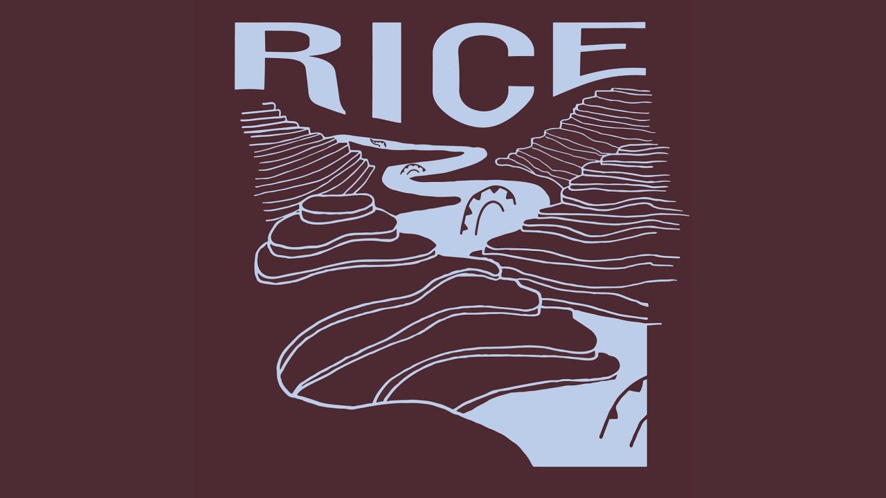 Rice