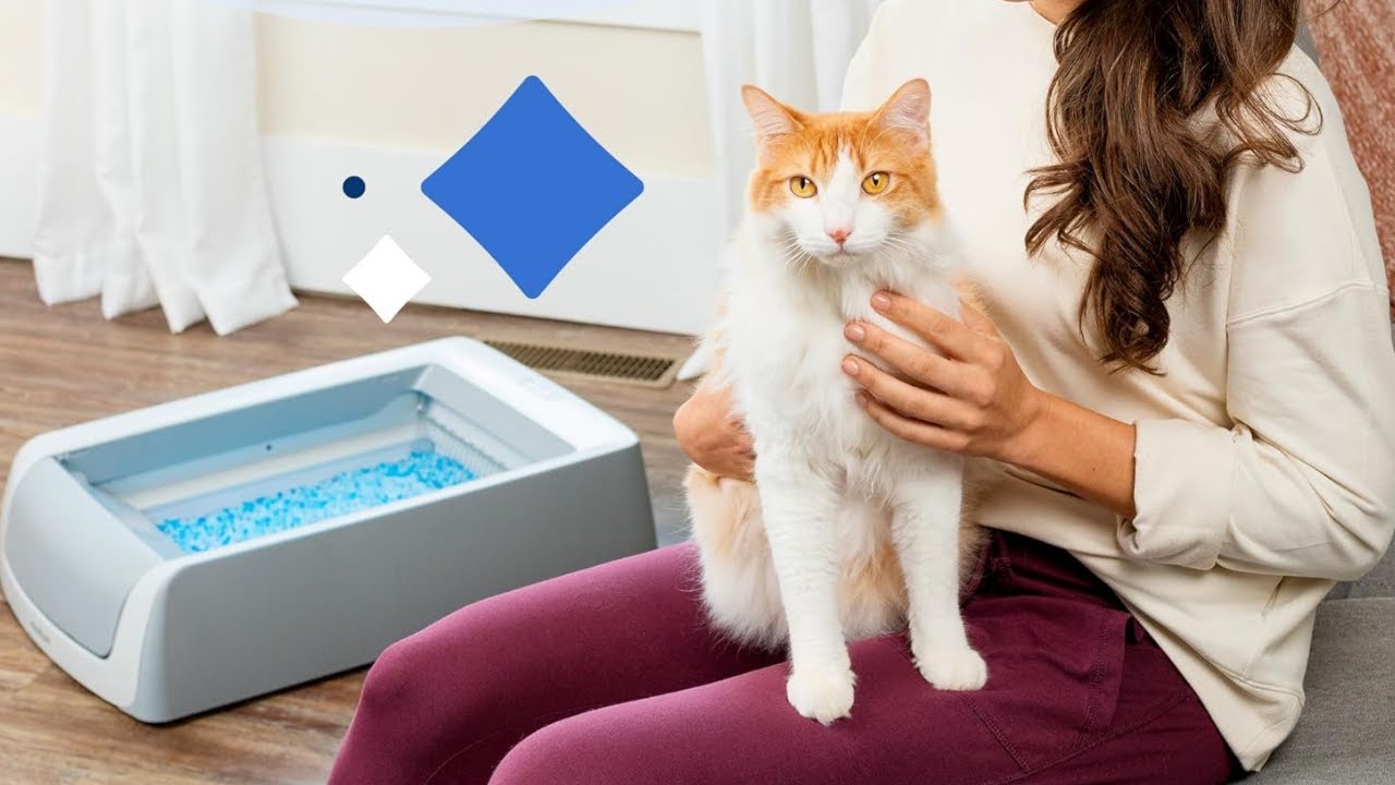 PetSafe ScoopFree Crystal Pro Self-Cleaning Cat Litter Box 🧼🐱 | Motion-Sensing, Health Counter