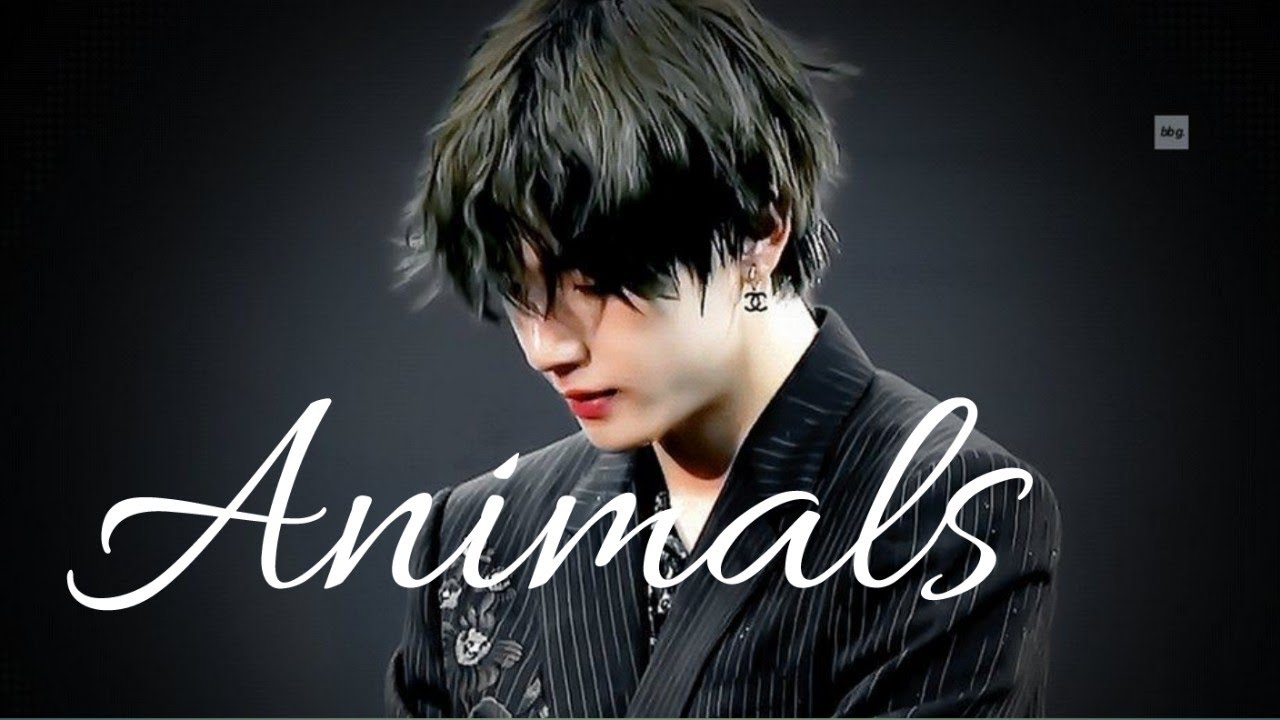 {FMV} Kim taehyung -- animals
