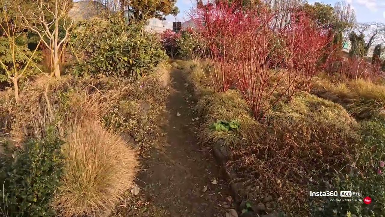 베케 veke  제주도 겨울정원