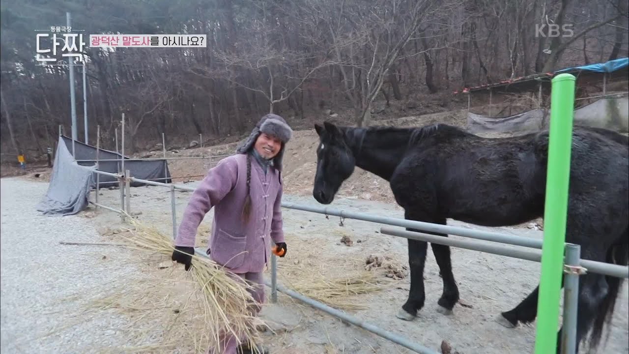 광덕산 말도사를 아시나요? [동물극장 단짝] | KBS 220318 방송