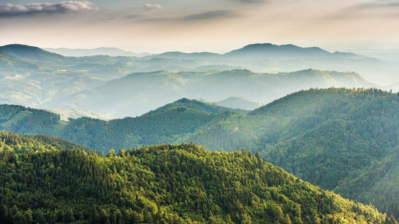 Vier Jahreszeiten im Nationalpark Schwarzwald