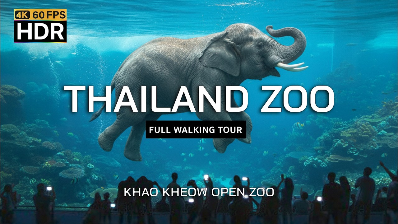 Удивительный зоопарк Таиланда 2025 | Открытый зоопарк Кхао Кхео | Полная пешеходная экскурсия