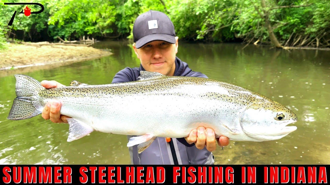 Summer Steelhead Fishing in Indiana