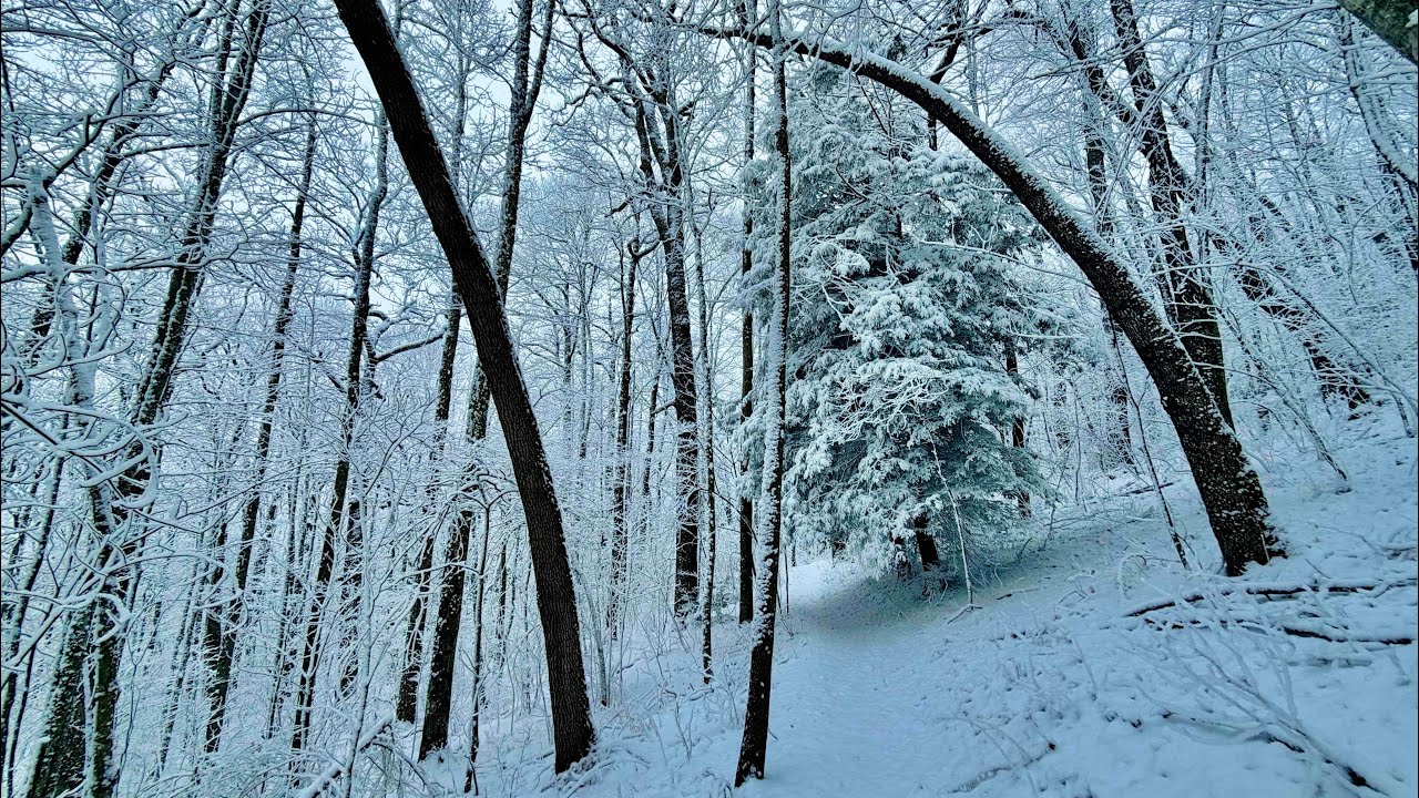 VLOG 10: SNOW DAY!!! MAX PATCH TO I40 AND HOT SPRINGS.