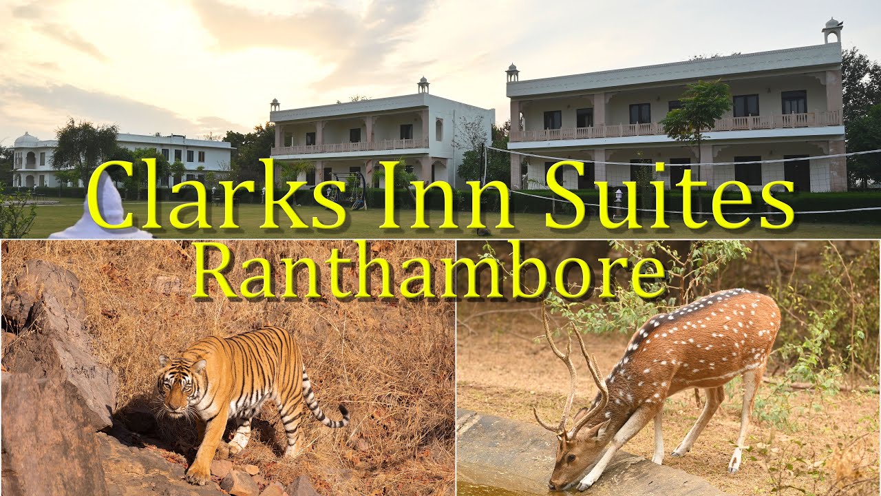 A Fine Weekend - Clarks Inn Suites, Ranthambore