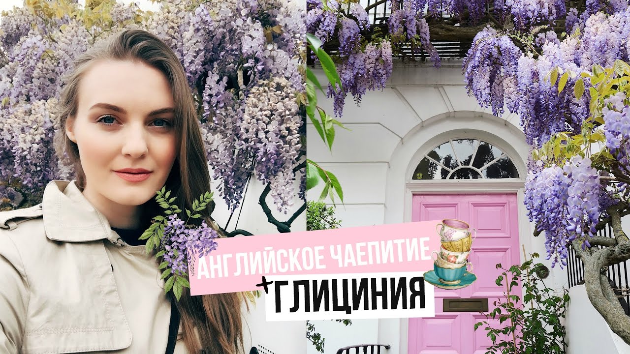 АНГЛИЙСКОЕ ЧАЕПИТИЕ, туалеты-яйца и ШАМПАНСКОЕ на завтрак
