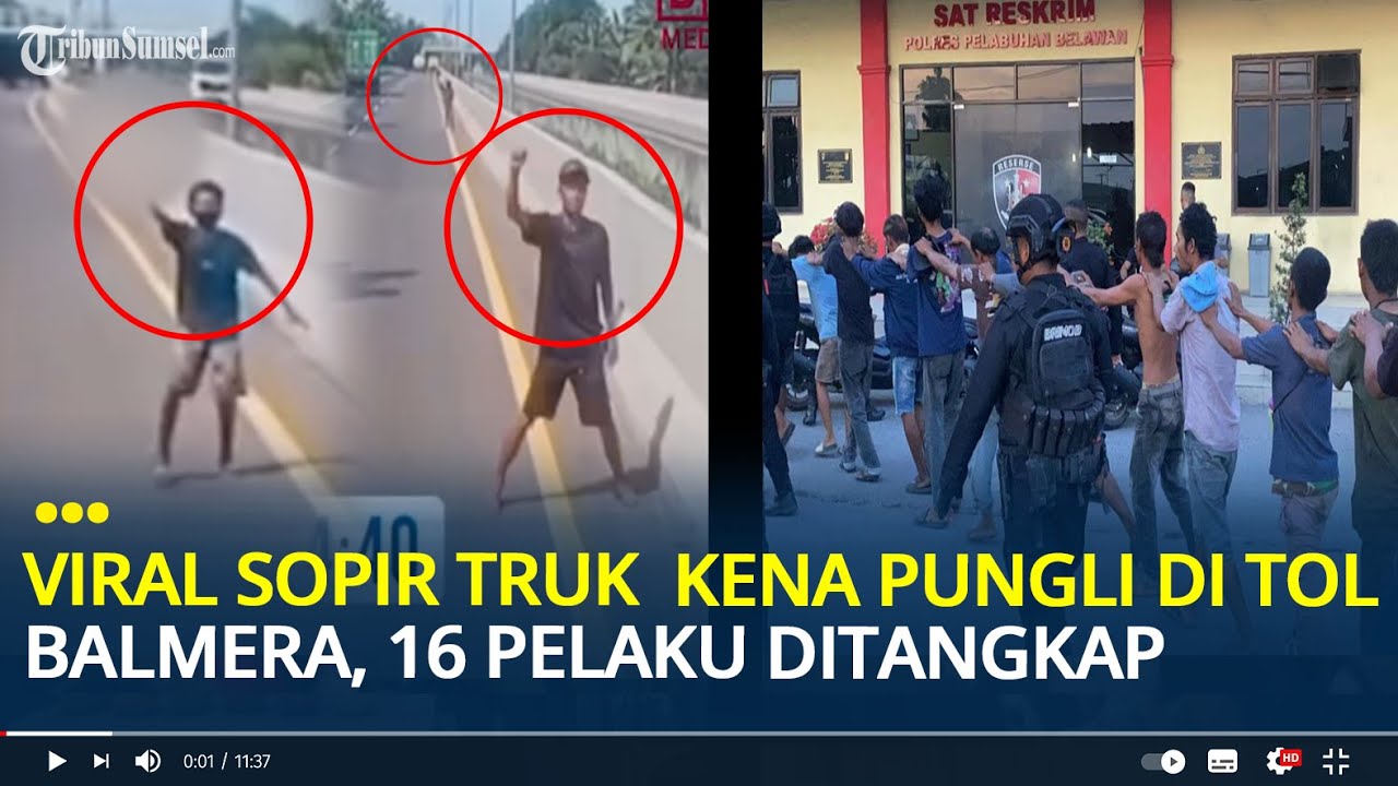 Viral Sopir Truk Kena Pungli di Tol Balmera, 16 Pelaku Ditangkap dan 15 Orang Positif Narkoba