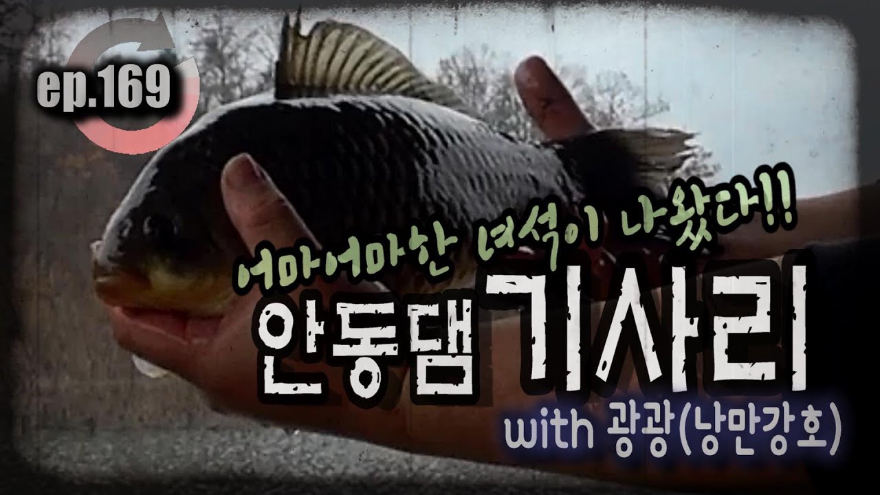 [ep.169] 어마어마한 녀석이 나왔다!! 안동댐 기사리권 괴물붕어!! #겨울붕어낚시 #겨울댐붕어 #붕어낚시 #안동댐 #안동호