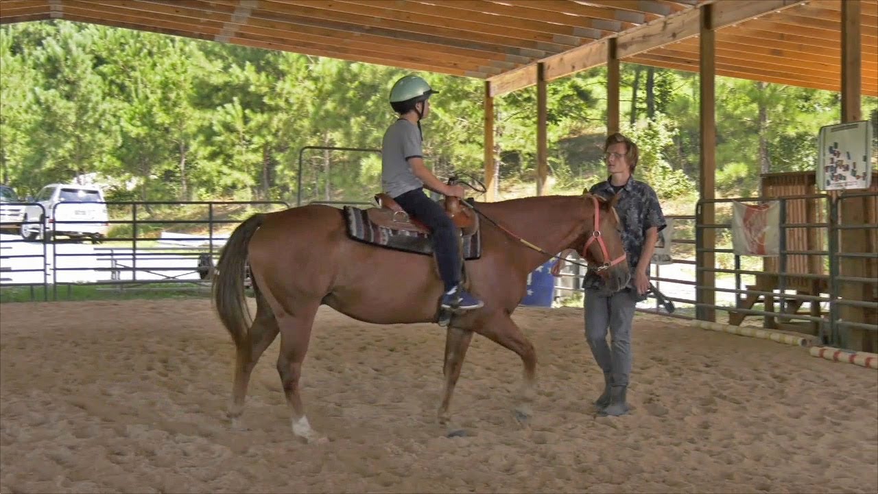 Horses Offer Therapy For Those With Disabilities