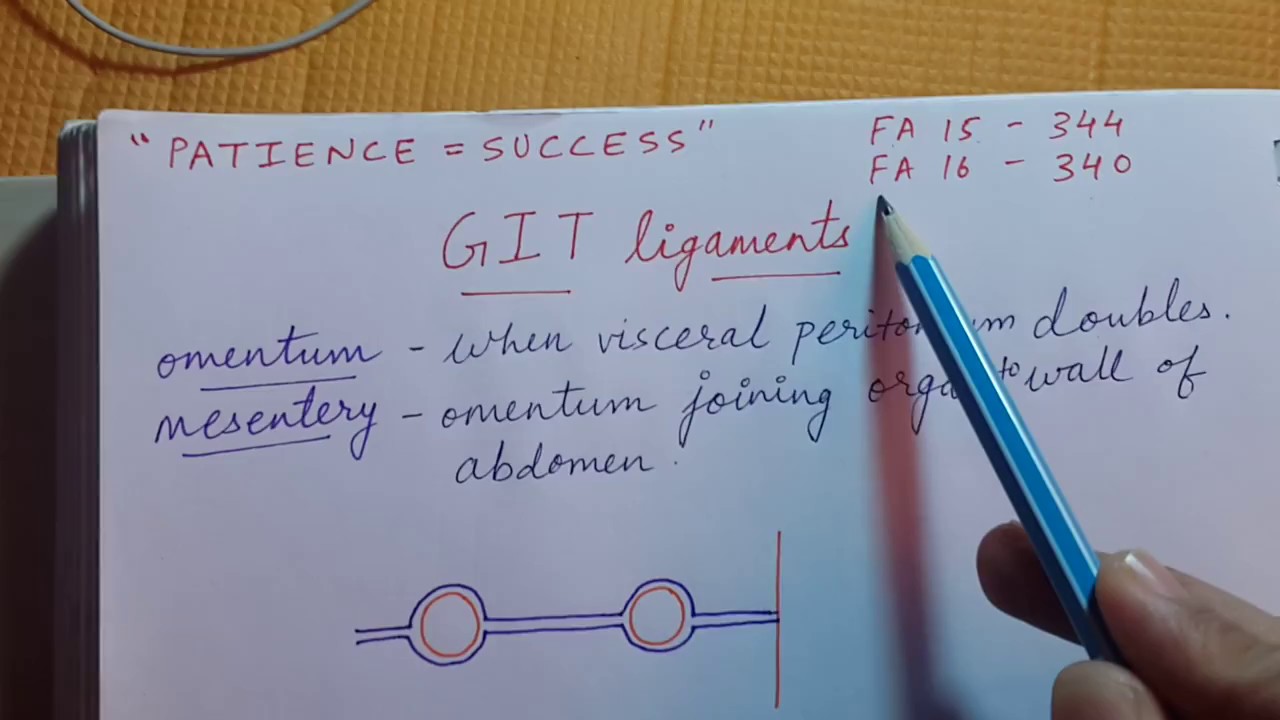 GIT ligaments | Easy explanation for USMLE Step 1