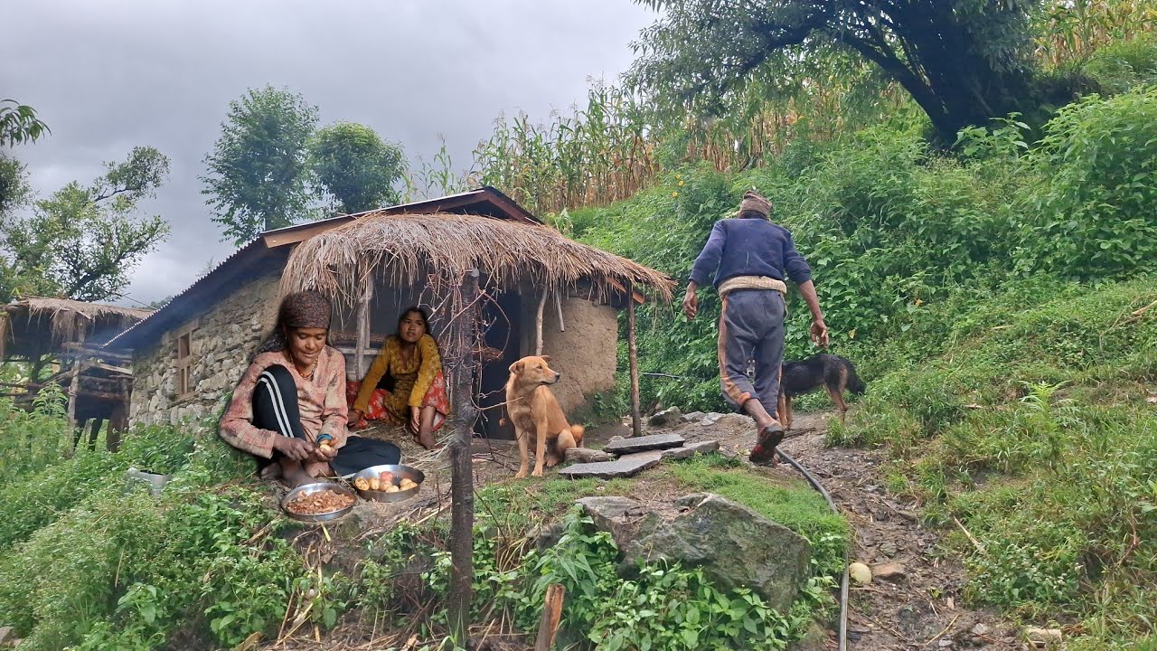 This is Himalayan Nepali Village Lifestyle | Hari Rokaya Village Rain And Winter Season Best Video