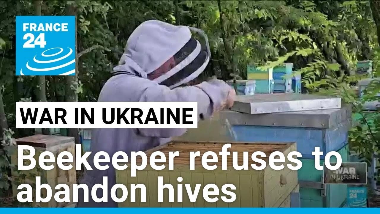 Ukrainian beekeeper refuses to abandon hives as Russian troops advance &bull; FRANCE 24 English