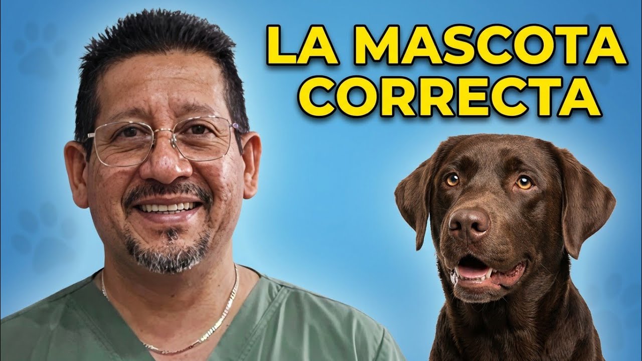 MIÉRCOLES DE MASCOTAS | PROGRAMA 1“Cuando una mascota llega en el momento correcto”