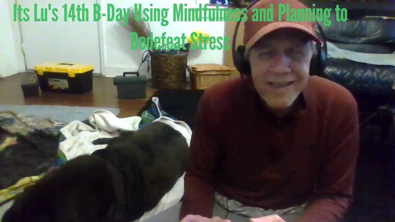 Mindfulness Works To Reduce Stressors 