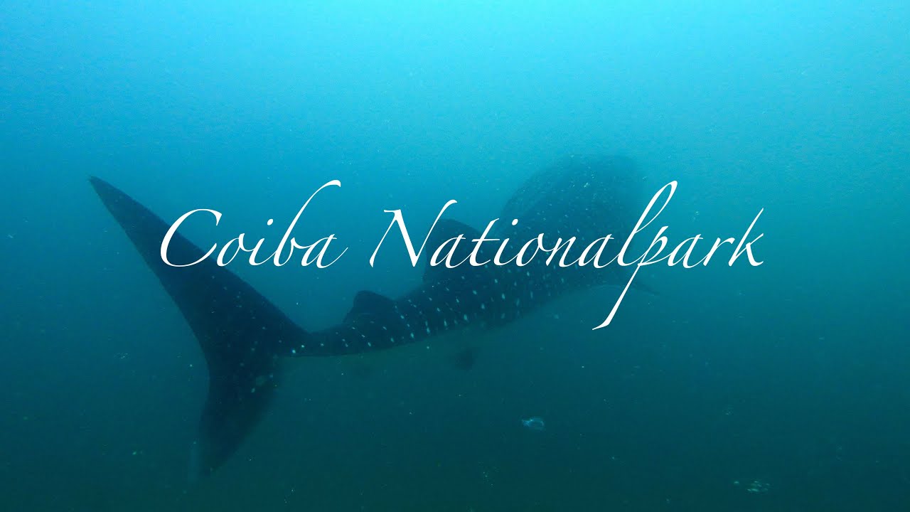 Coiba Nationalpark 2022
