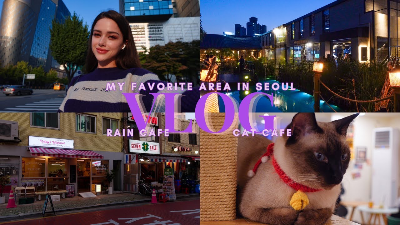 VLOG / Мой любимый район в Сеуле / Кафе, где идет дождь / Кошачье кафе