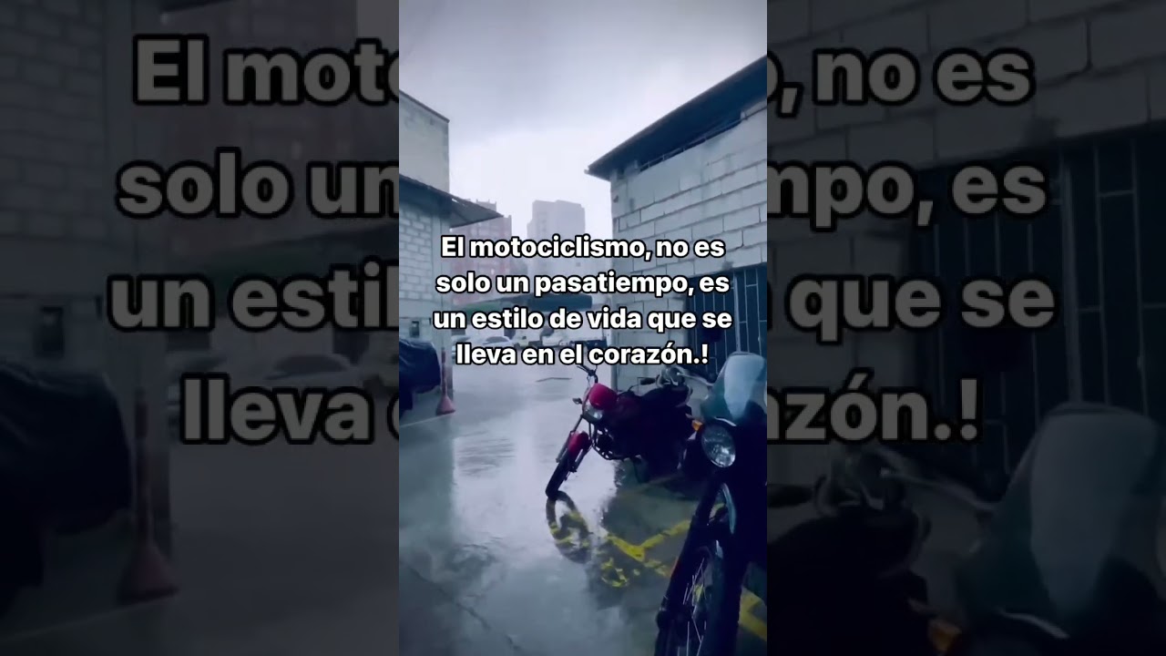 Suscríbete!🔥 