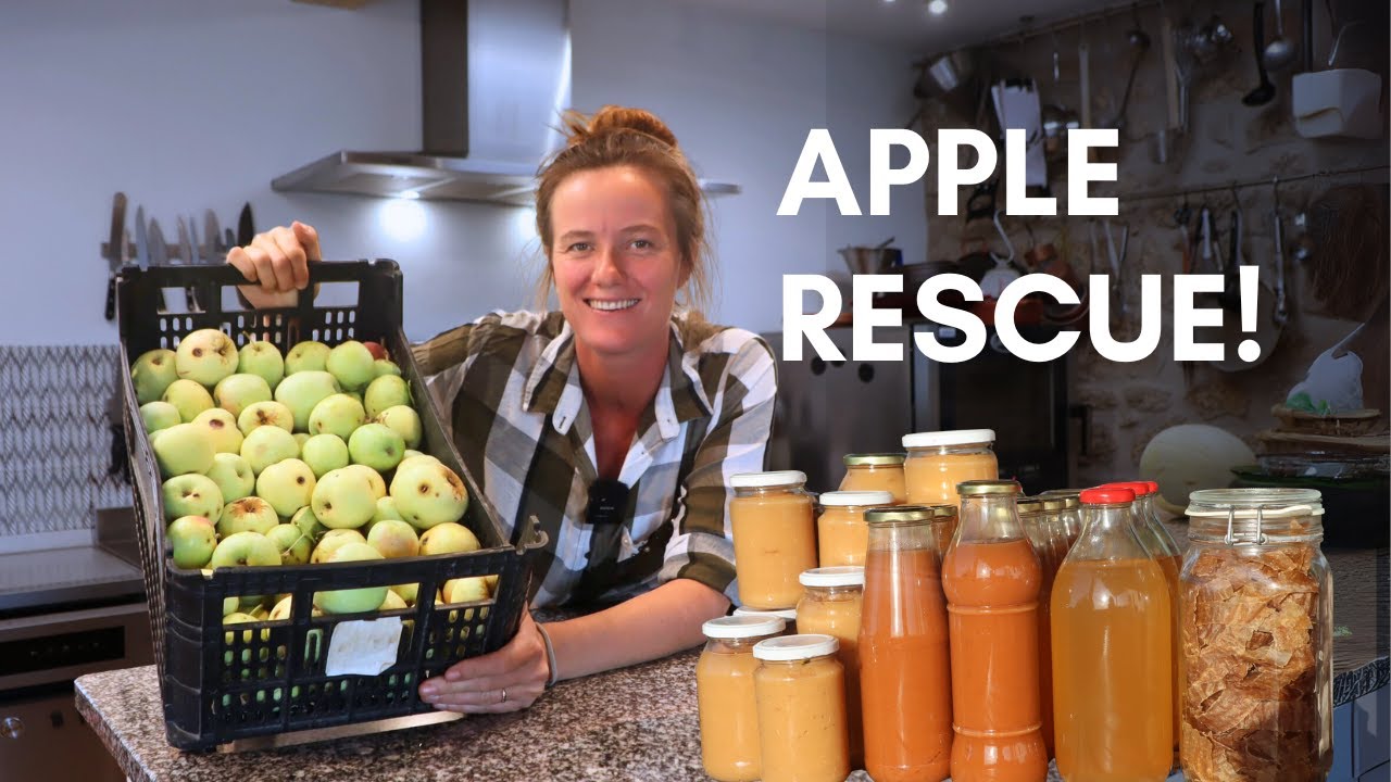 How to preserve 'ugly' apples as 4 shelf-stable delights at home.