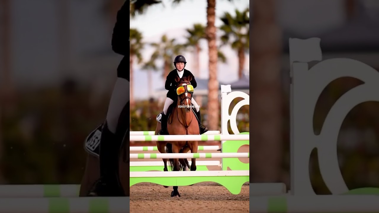 The sunglasses are actually so cute 🕶️ #shorts