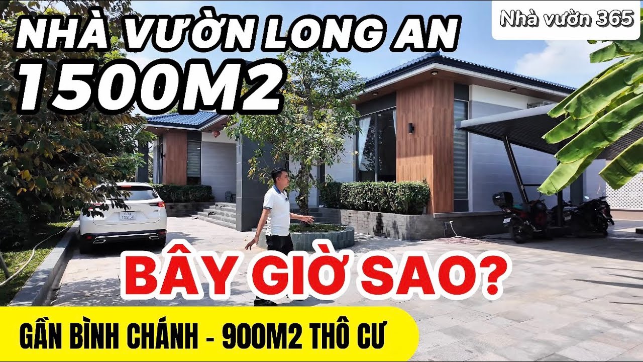 Nhà vườn Long An 1500m2 thổ cư 900m - bây giờ thế nào? | tập 0745