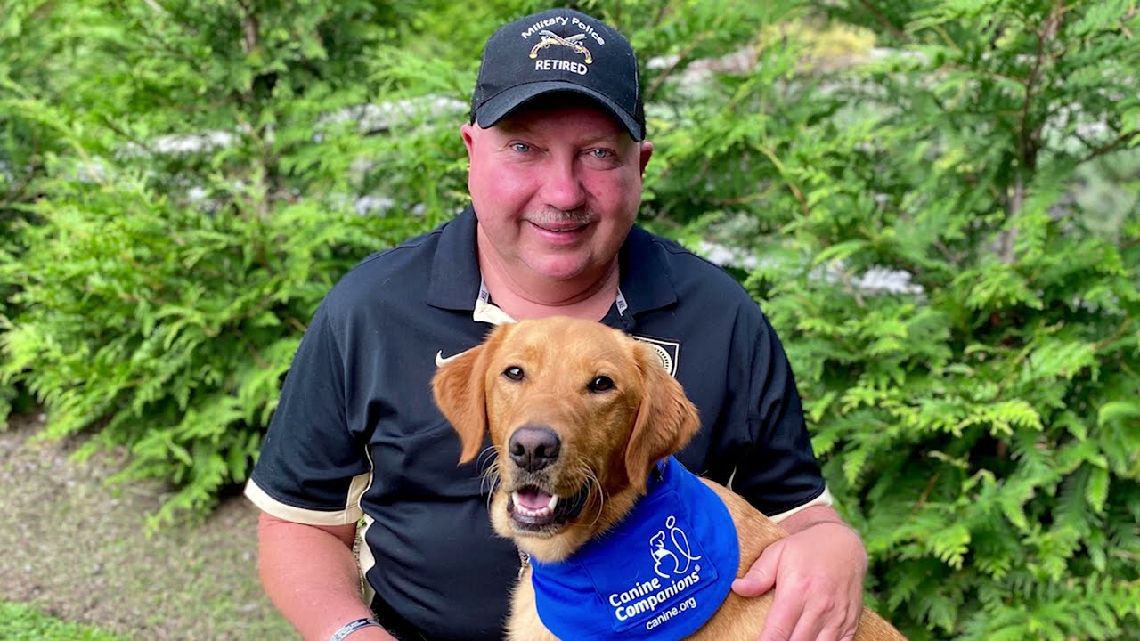 Canine Companions Service Dogs for PTSD Treatment and Support.