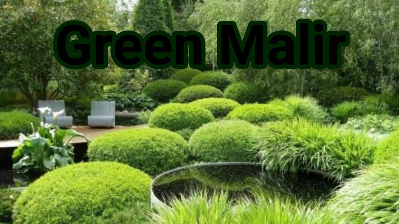 Green malir