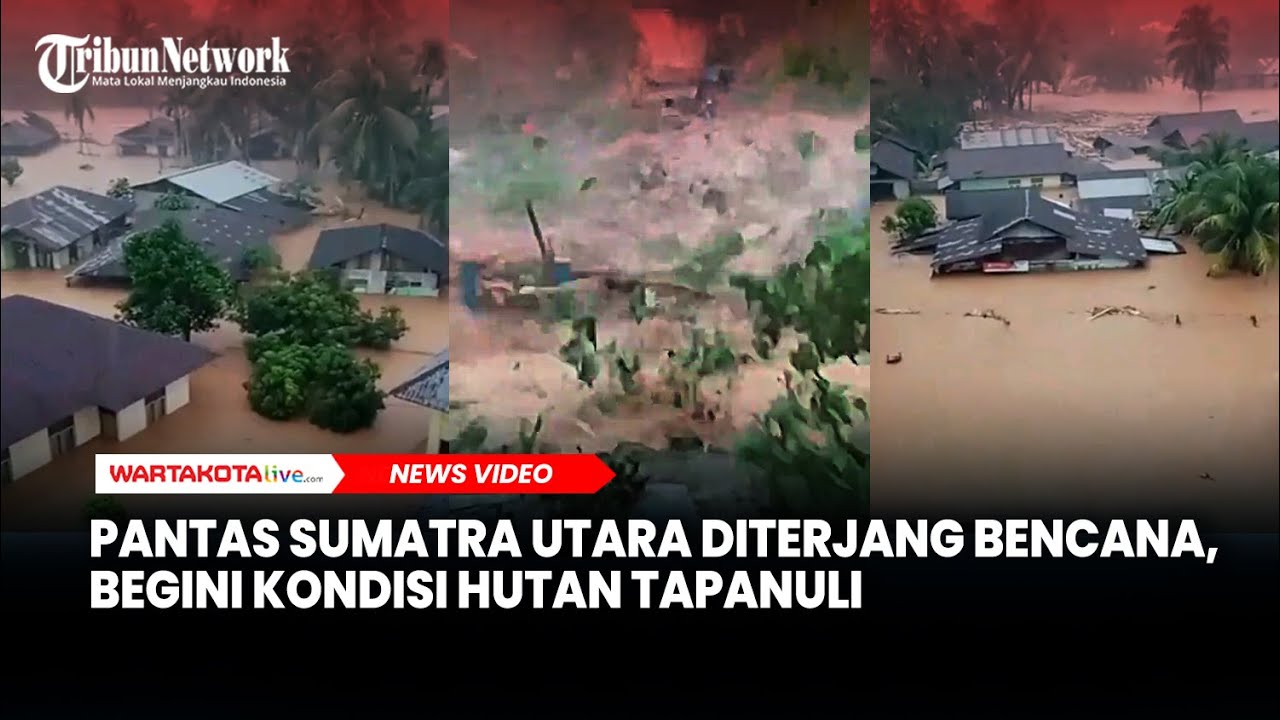 Pantas Sumatra Utara Diterjang Bencana, Begini Kondisi Hutan Tapanuli