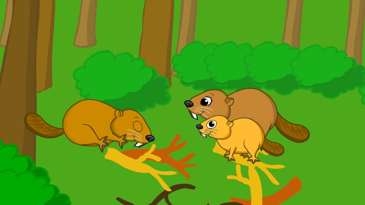 Beaver Family | 42 | Bedtime Stories | ducktv