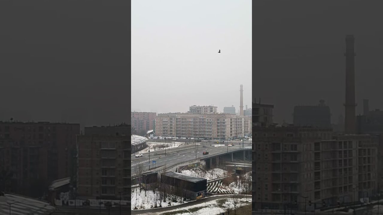 BartSli nadaje na żywo