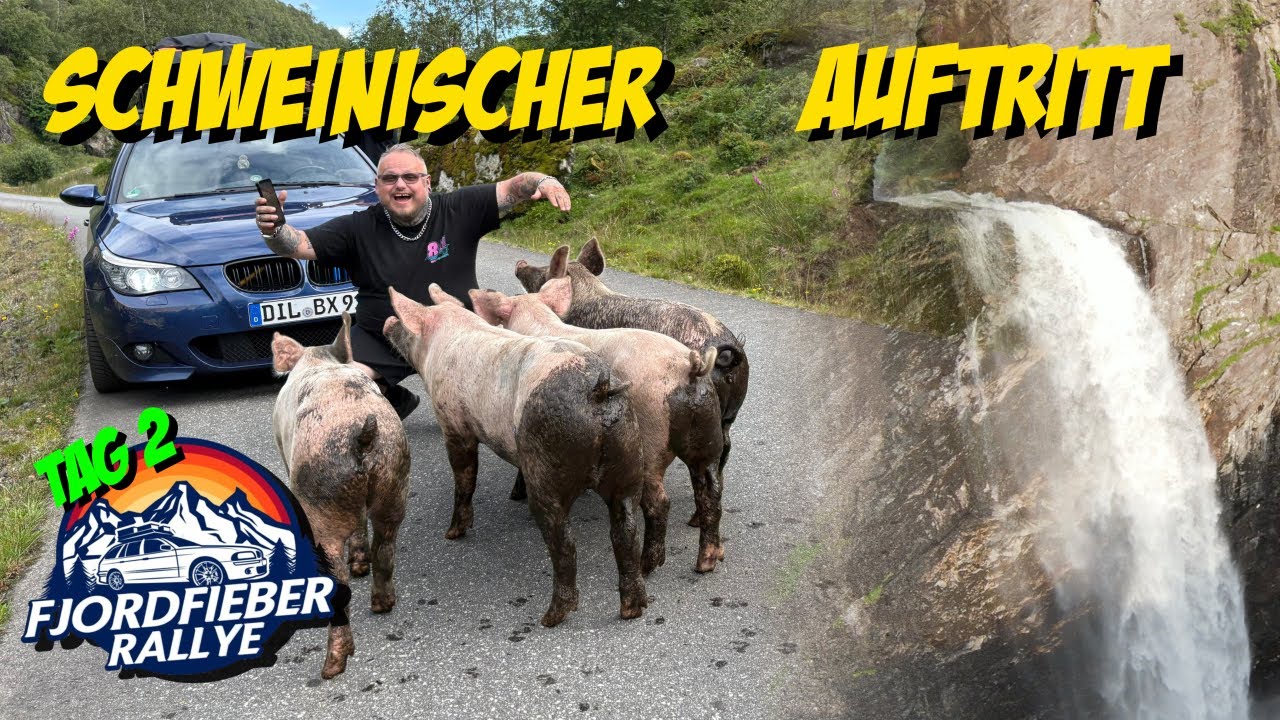 Schweinischer Auftritt | Tag 2 - Fjordfieber Rallye 2025