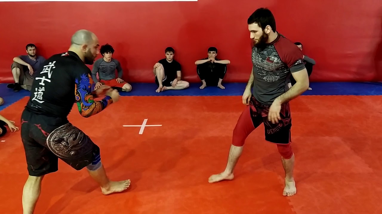 Висячка
