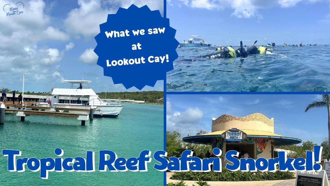 Tropical Reef Safari Snorkel at LOOKOUT CAY Review | Disney Cruise Vlogs