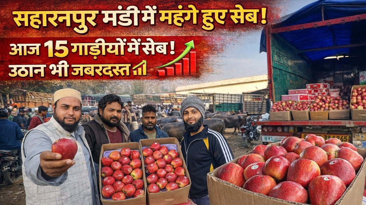 सहारनपुर की सेब मंडी: जहाँ मिलते हैं सबसे ताज़े और स्वादिष्ट सेब