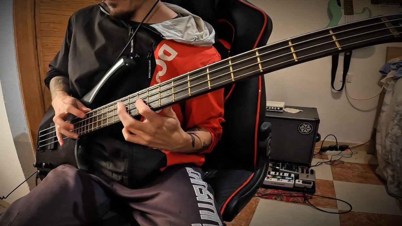 maximum the hormone - Maximum The Hormone (Bass Cover)