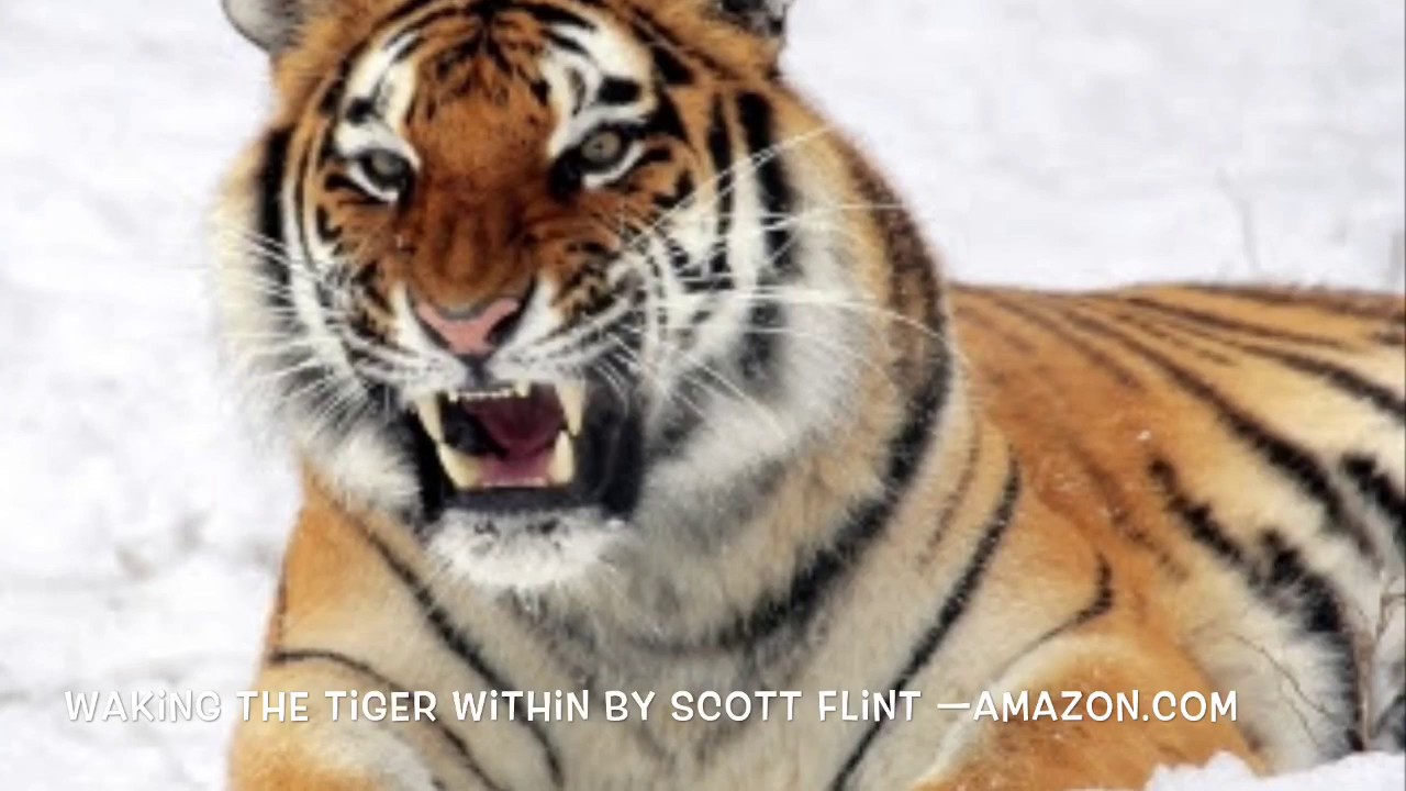 THE SELF-DEFENSE MIND SET    MENTAL PREPAREDNESS